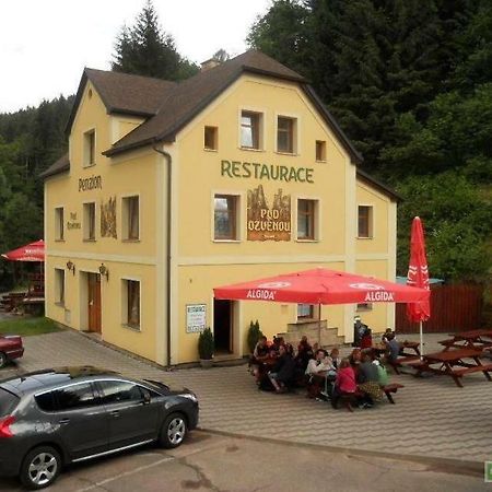 Penzion Pod Ozvenou Teplice nad Metují Exterior foto
